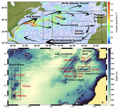 Physical Connectivity Between the NE Atlantic Seamounts